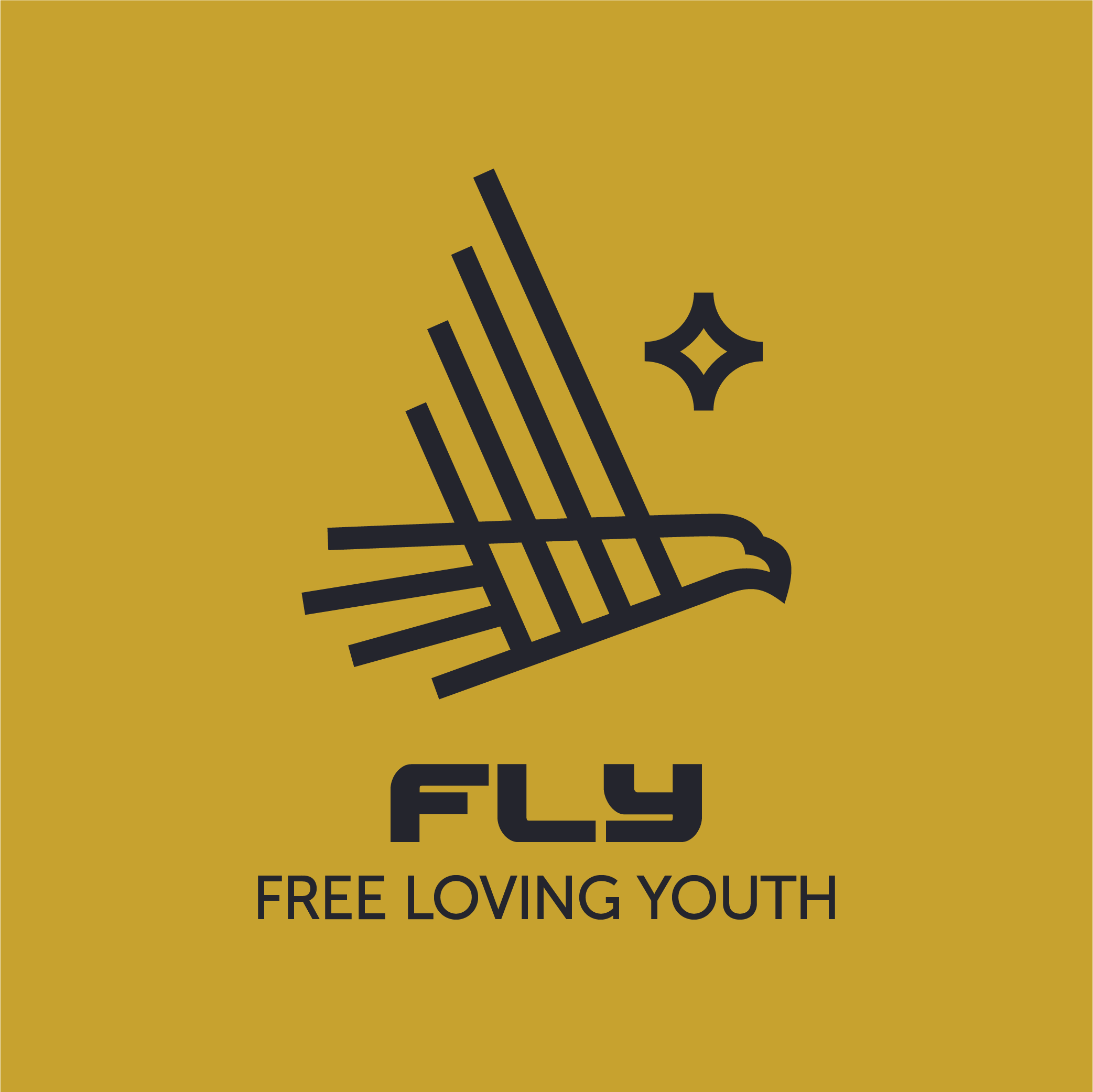 Fly